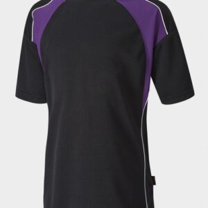 hilbre top